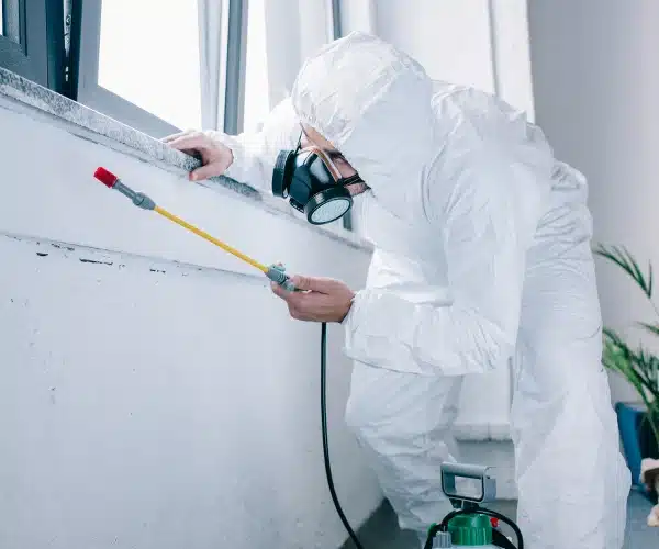 Tatortreiniger mit viel Expertise