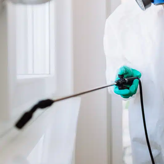 Professioneller Kammerjäger in Hamburg