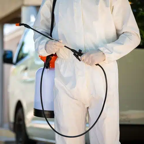 Tatort gründlich reinigen